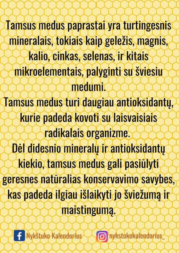 Užduočių knygelė Bičių diena PDF formatu EDUKACINIS KAMPELIS - Image 11