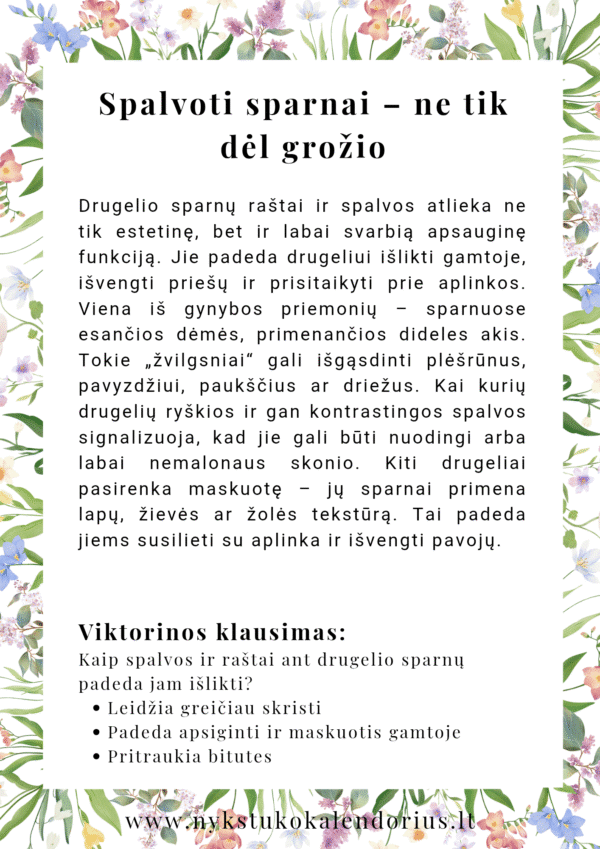 Užduočių knygelė Lietuvos drugiai PDF formatu NET 4 skirtingos veiklos - Image 6