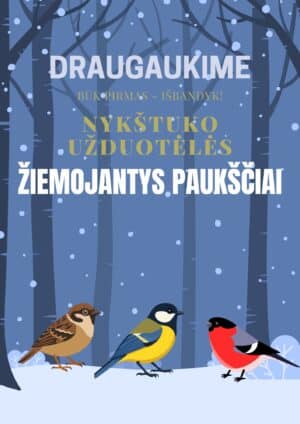 Užduočių ir veiklų knygelė PDF