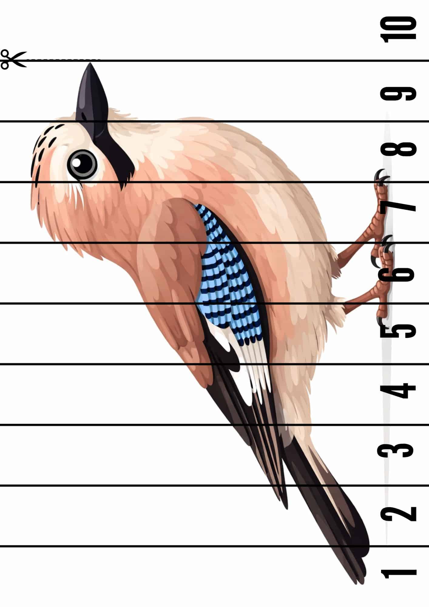 Užduočių ir veiklų knygelė Žiemojantys paukščiai PDF formatu 5 Užduočių knygelė