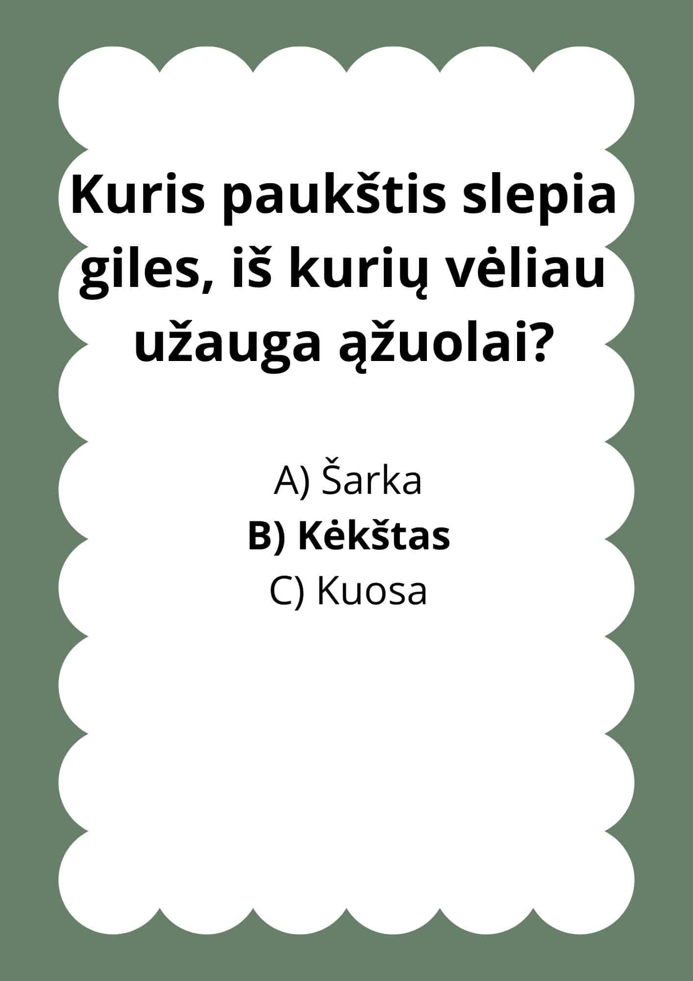 Užduočių ir veiklų knygelė Žiemojantys paukščiai PDF formatu 11 Užduočių knygelė