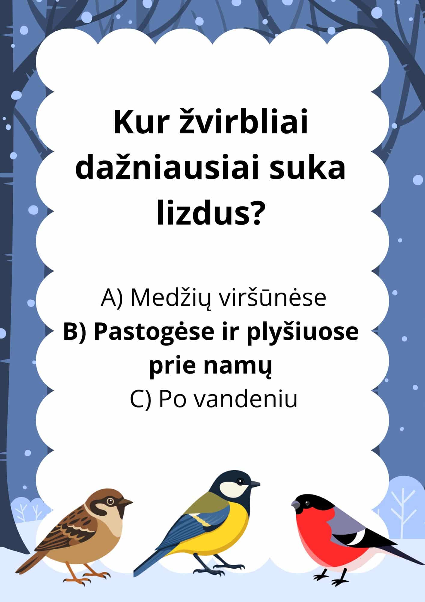 Užduočių ir veiklų knygelė Žiemojantys paukščiai PDF formatu 10 Užduočių knygelė