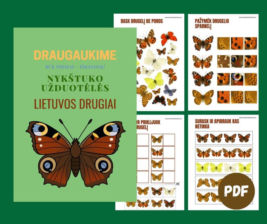 Pradžia 32 Ivairus irasai88