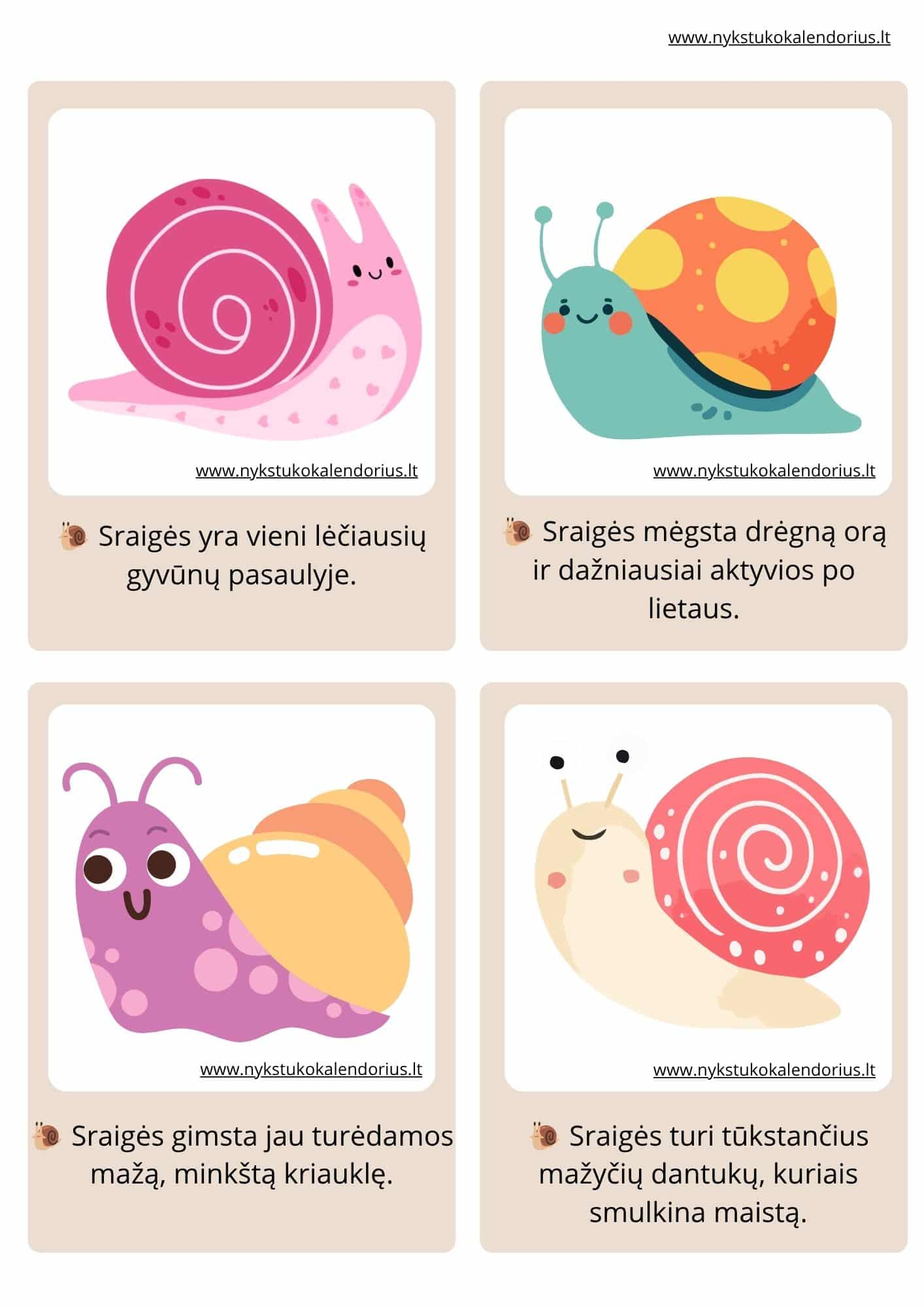Užduočių ir veiklų knygelė Panelė sraigė PDF formatu 3 „Panelė sraigė“ – edukacinė veiklų knygelė vaikams su žaidimais, darbeliais ir pažintine informacija apie sraiges.